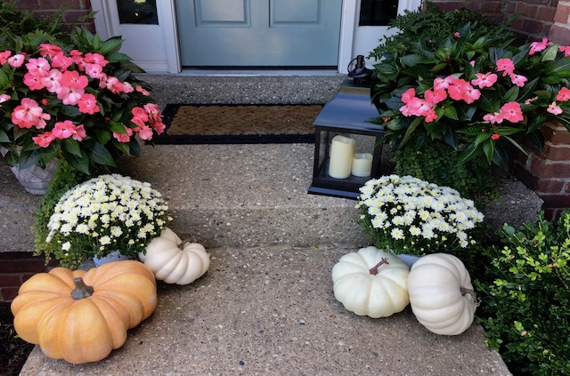 coral-flowers-for-fall