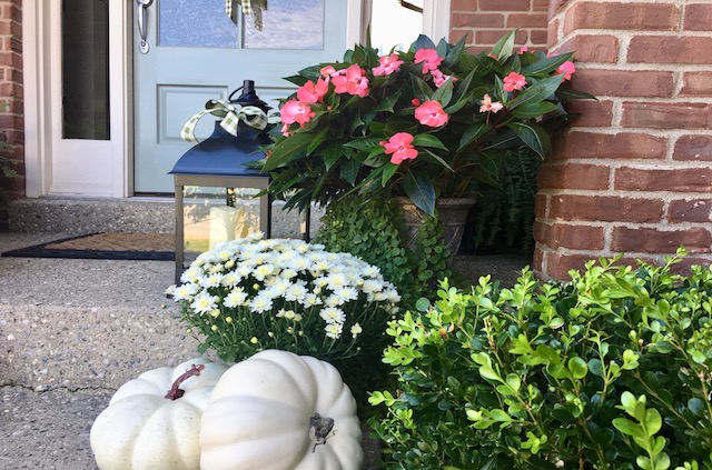 fall-front-porch-with-pumpkins-and-coral-flowers