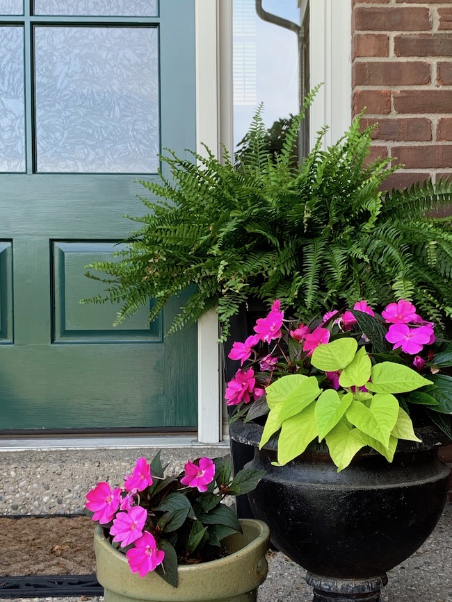 Front door painted Sherwin-Wiliams Billiard Green