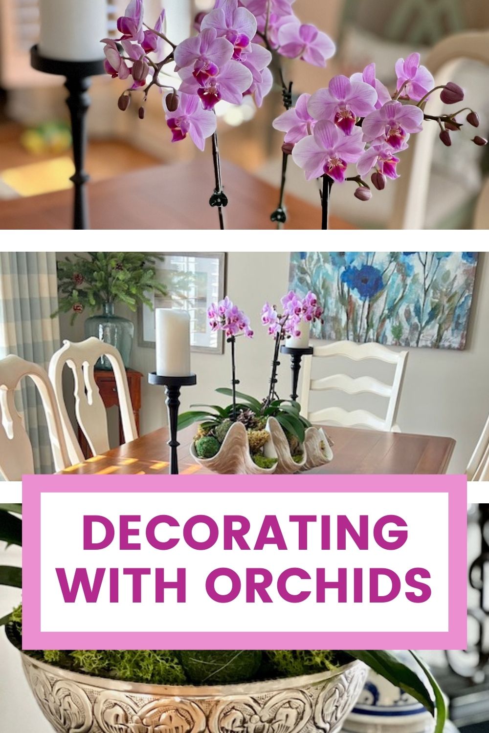 Decorating with Orchids: Easy Orchid Display Ideas - Perfecting Places