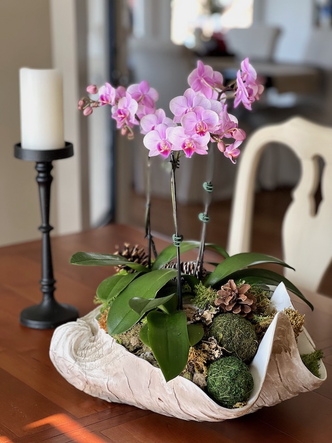 Orchid Centerpiece