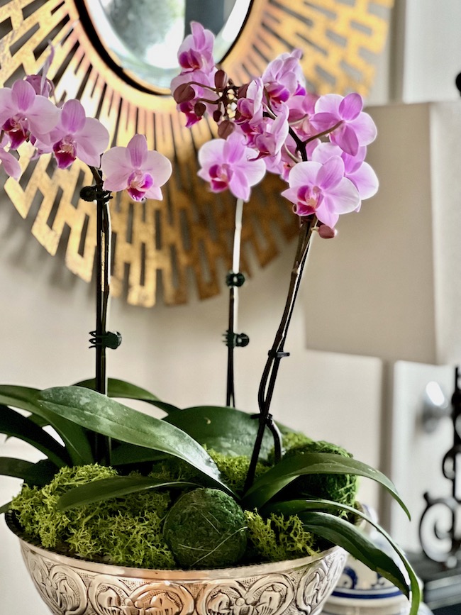 Decorating with Orchids in Silver Pedestal Bowl