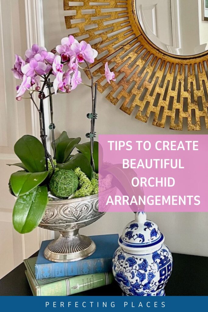 Orchid Display Ideas PIN