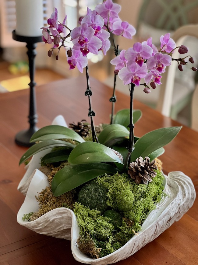 Orchid Arrangement for Spring Decor