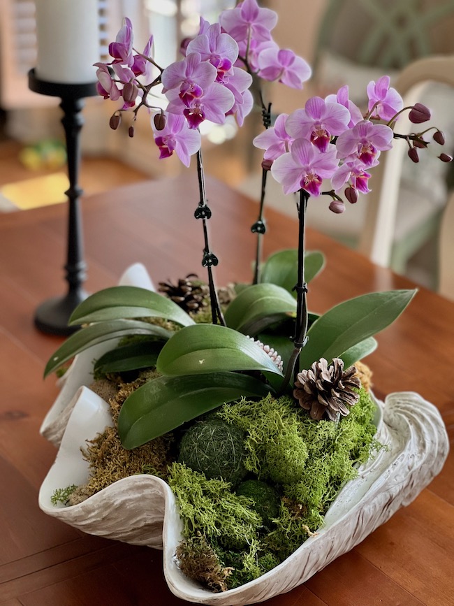 Orchid Centerpiece