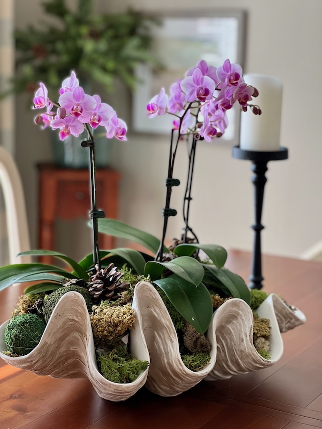 Orchid & Moss Arrangement in Silver Bowl