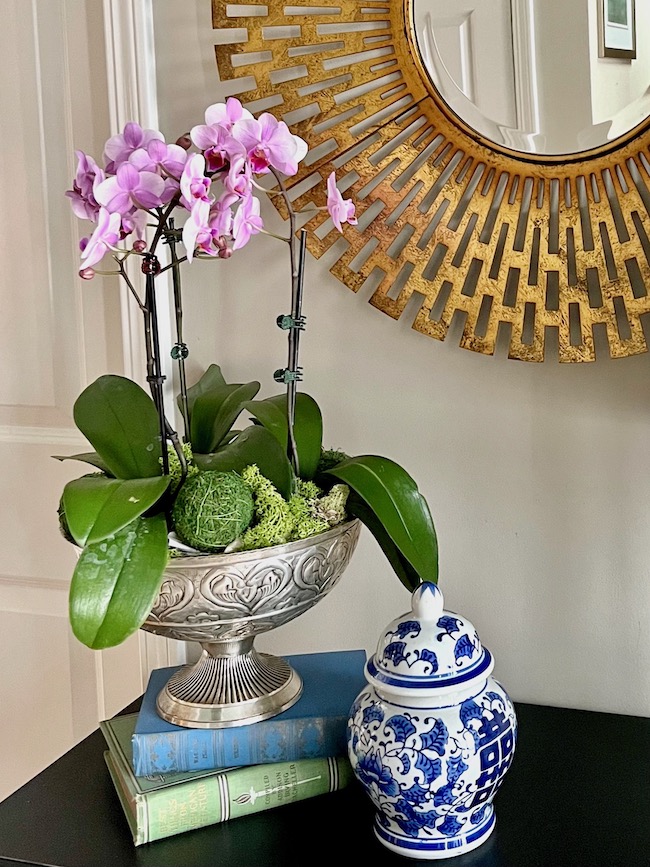 Foyer Table Arrangement with Potted Orchids