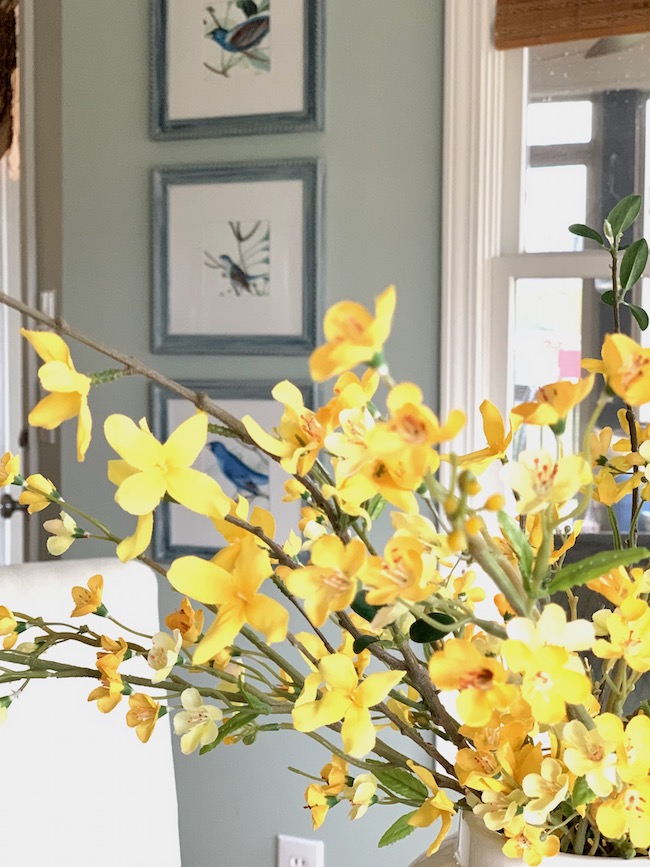 Decorate with Forsythia for Spring