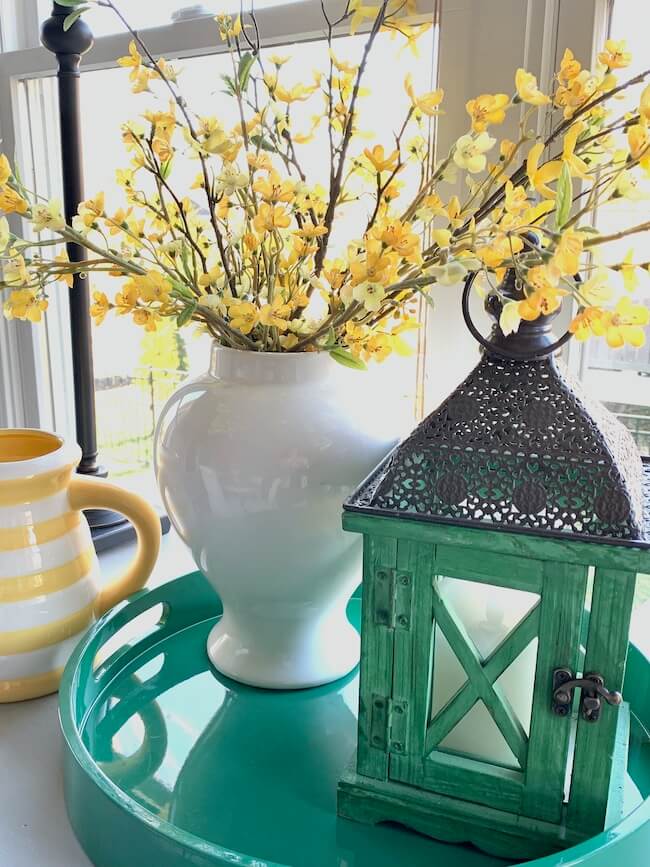 Forsythia Branches and Lantern