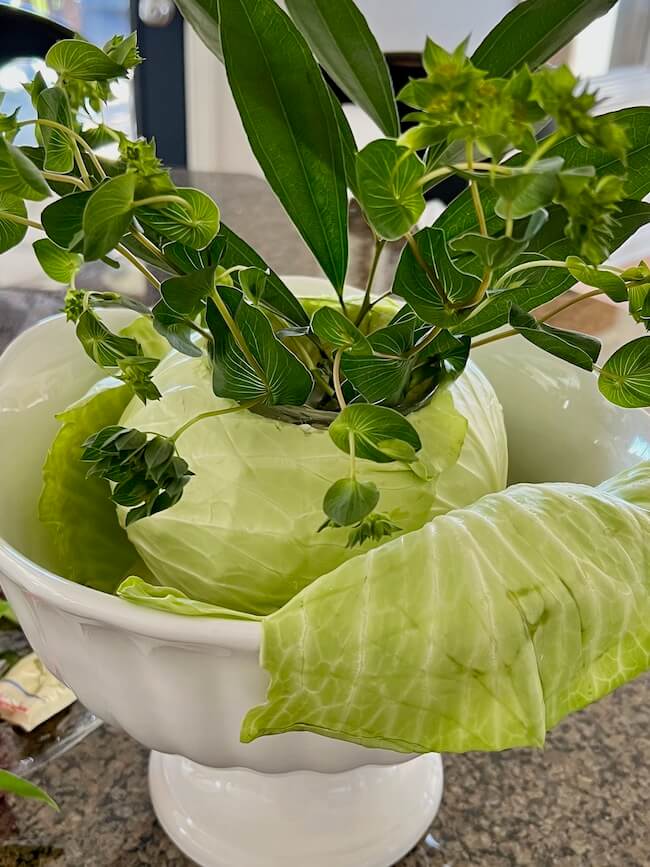 Cabbage Centerpiece