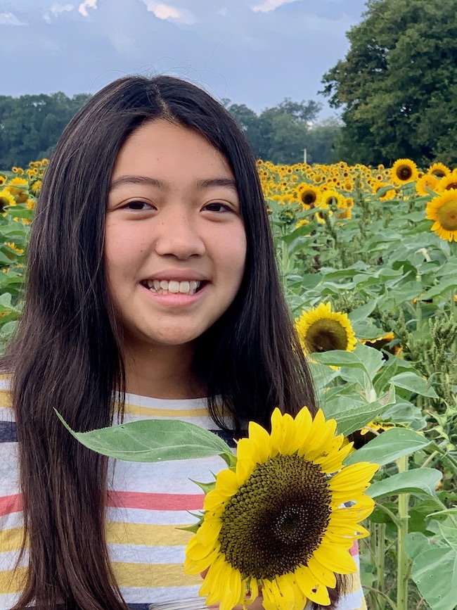 Picking Sunflowers