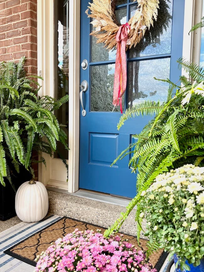 Blue Door with Fall Mums in Purple and White