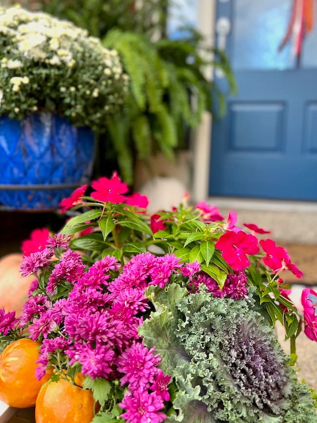 Fall Planter with Purple Mums, Pink Impatiens, and Ornamental Kale