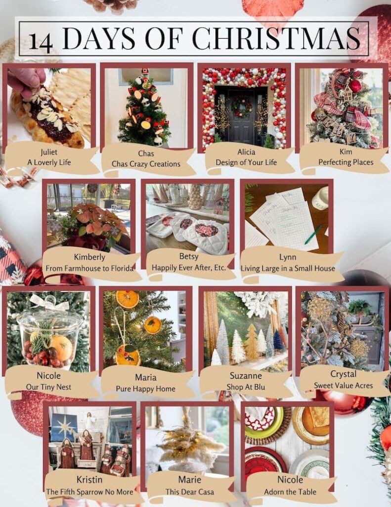 14 Days of Christmas Blog Hop Participants