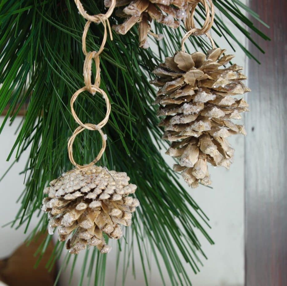 South House Designs Bleached and Frosted Pinecones