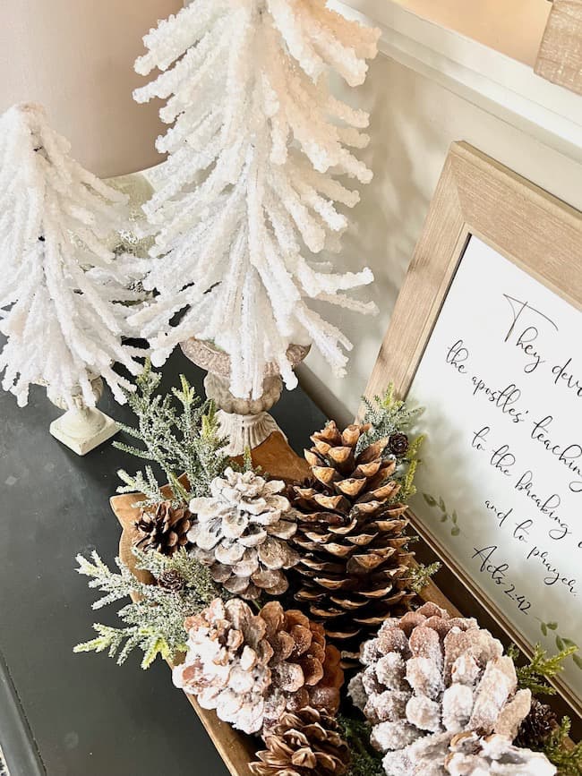 Snowy Borax tree for winter decor