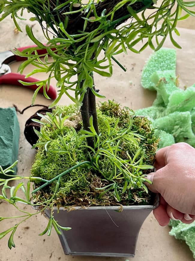 Add moss and additional greenery stems at the base of the Valentine topiary.