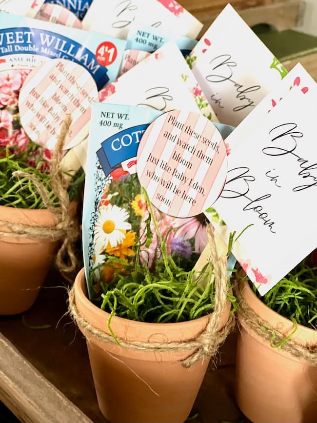 Garden theme seed packet shower favors in mini terracotta pots