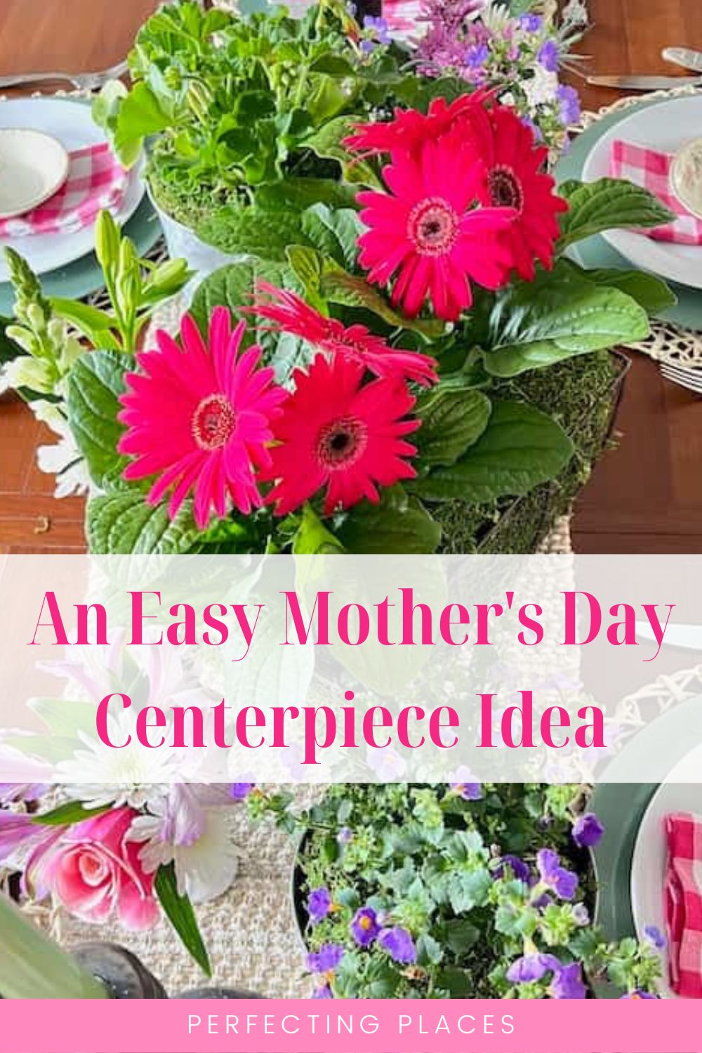 Easy Mother's Day Centerpiece with Annuals - Perfecting Places