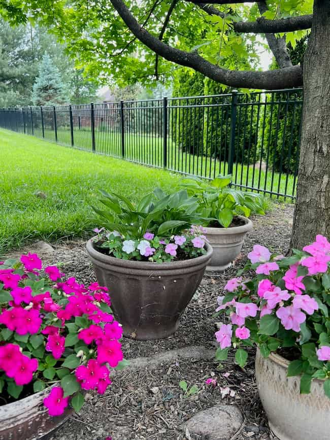 Backyard container garden ideas for shade