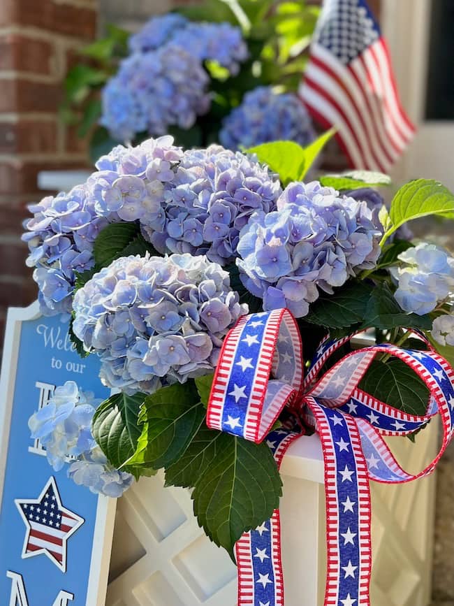 blue hydrangeas with patriotic ribbon
