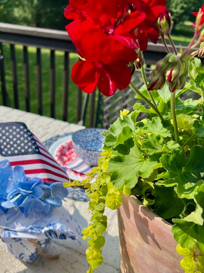 patriotic centerpiece with geraniums and blue hydrangea