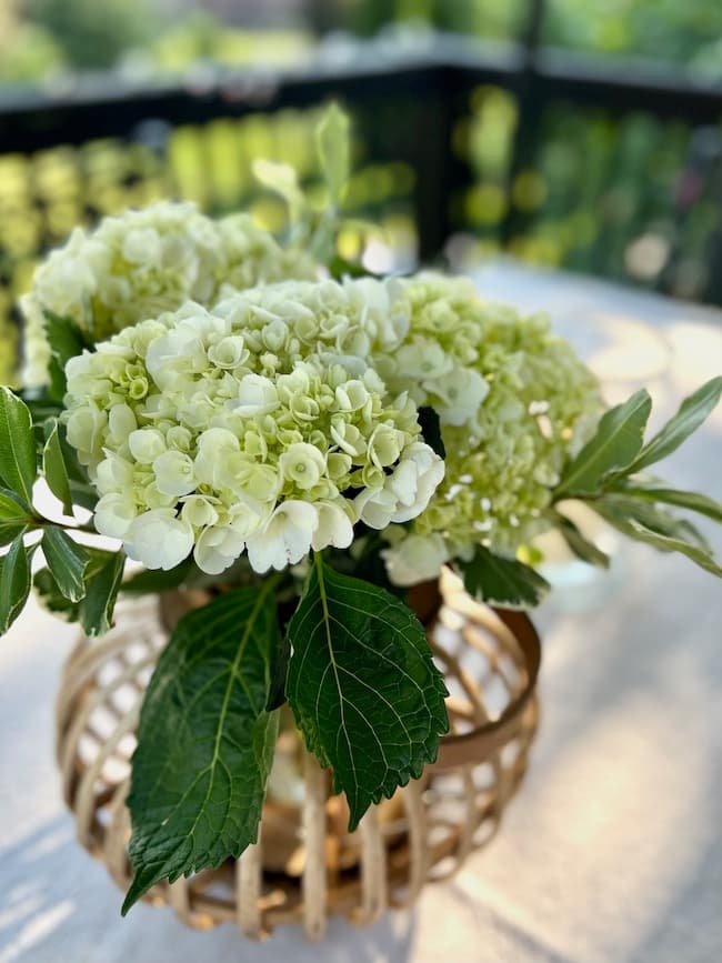 White hydrangea centerpiece in wooden lantern