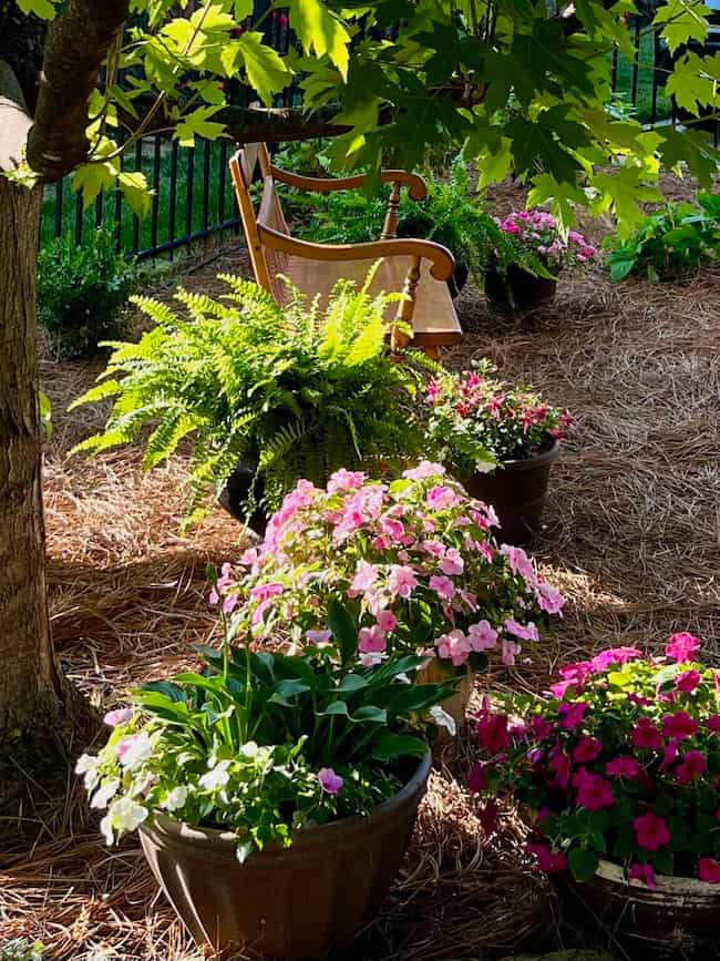 Container garden under tree with photo area for outdoor engagement party.