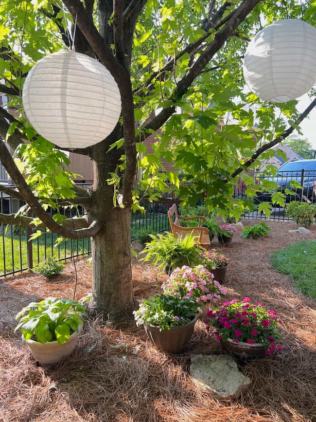 Container garden under tree with photo area for outdoor engagement party. White paper lanterns hung in tree.