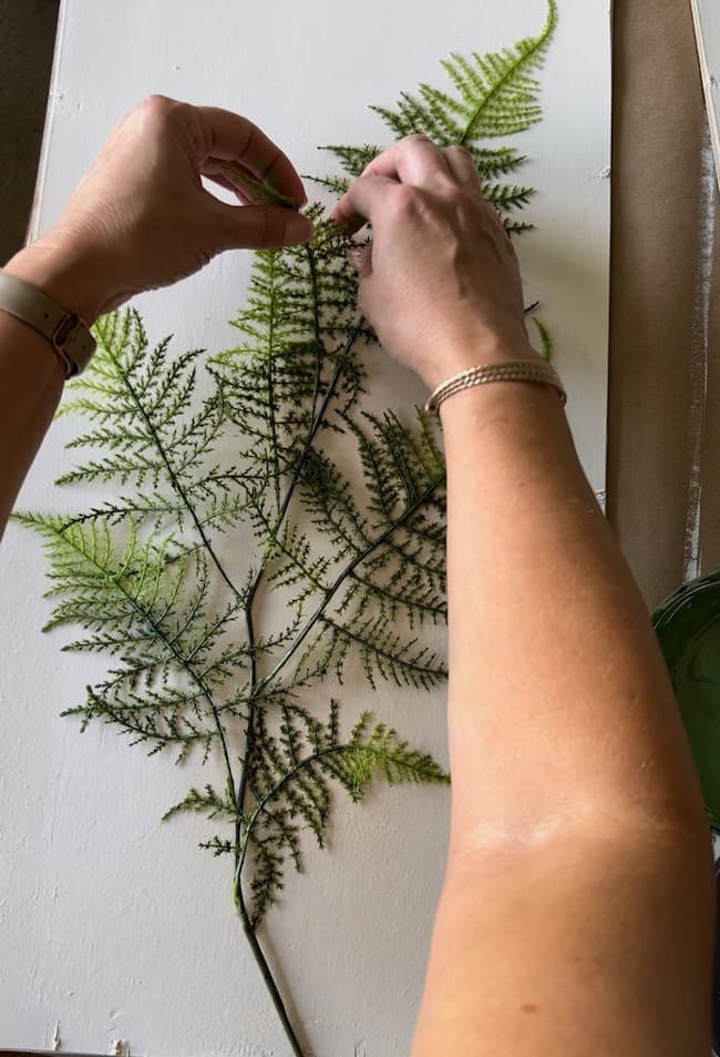 After the adhesive is applied, press the fern into place on the white background.