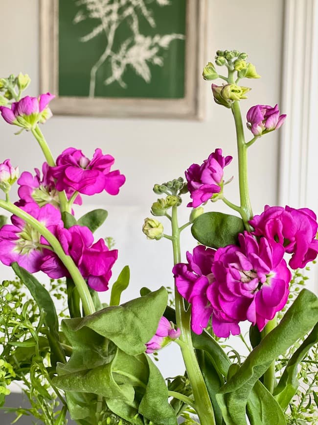 Purple stock in kitchen table arrangement