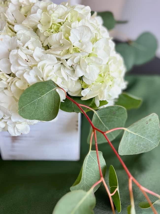 Rehearsal dinner centerpieces with white hydrangeas and eucalyptus on dark green tablecloth.