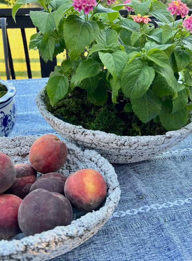 Decorative pots, including a DIY cement planter bowl, sit on a blue tablecloth outdoors. One pot contains green leafy plants with pink flowers, while the other holds several ripe peaches. The pots have a rustic, textured surface, and a fence and greenery are blurred in the background.