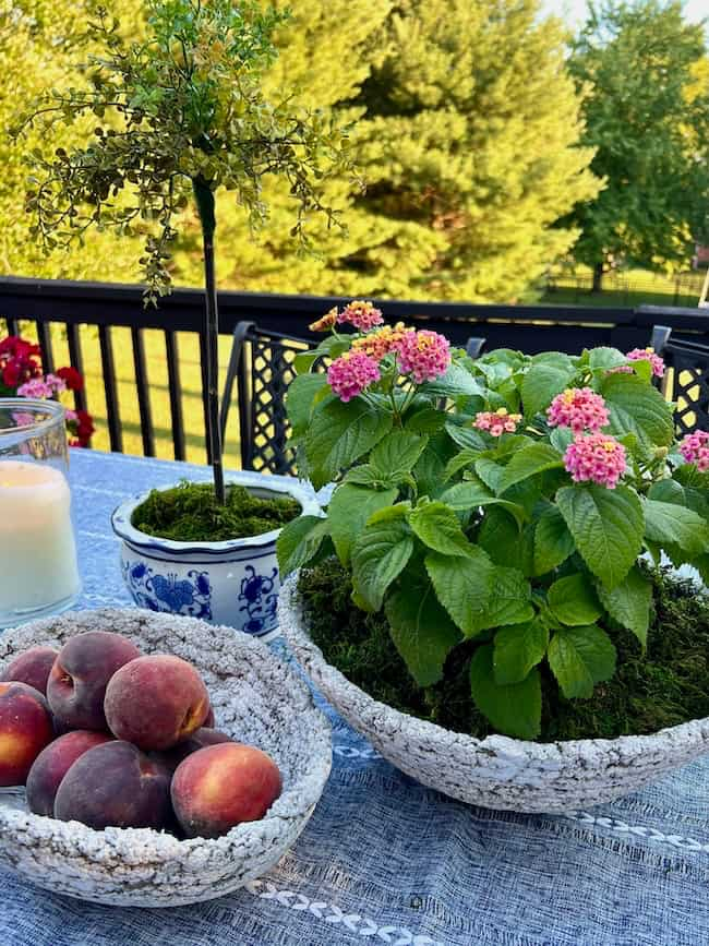 A patio table with a tabletop tree in a blue and white pot, a vibrant pink flowering plant, a bowl of peaches, and a lit candle features prominently. A DIY cement planter bowl stands out among the decor. In the background, greenery and trees provide a serene view. The table is covered with a blue patterned tablecloth.