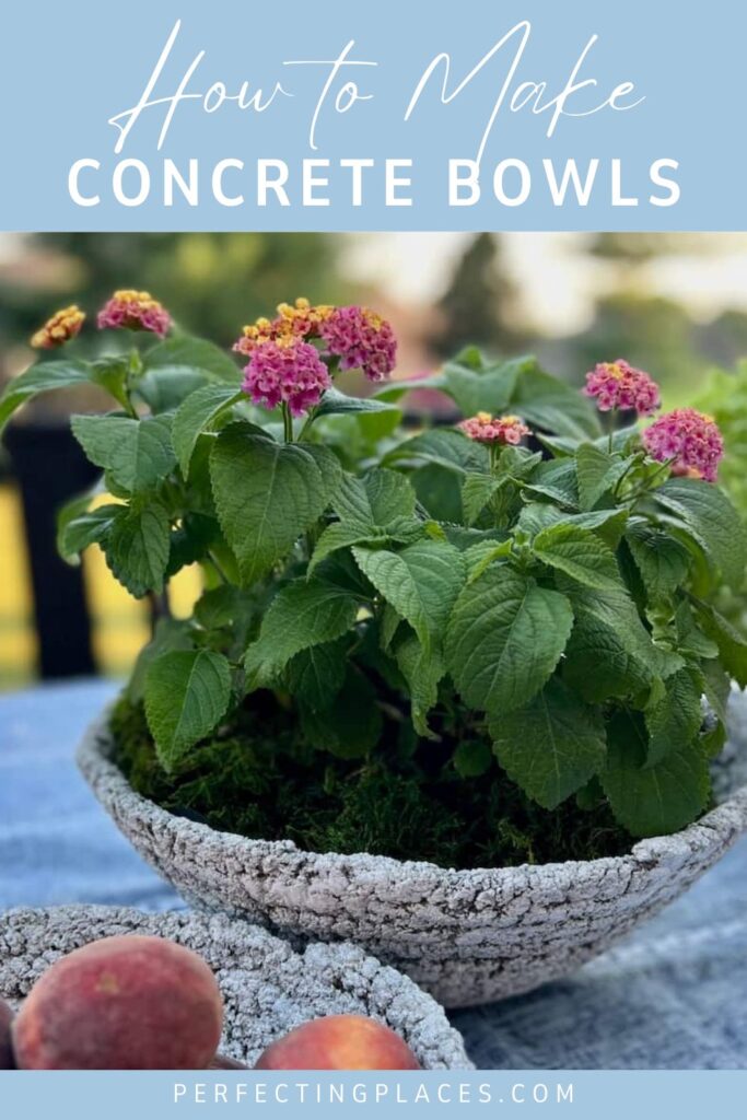 A DIY cement planter bowl filled with vibrant pink and yellow flowers sits on a blue cloth beside some peaches. The image includes text at the top that reads "How to Make Concrete Bowls" and the website "perfectingplaces.com" at the bottom.