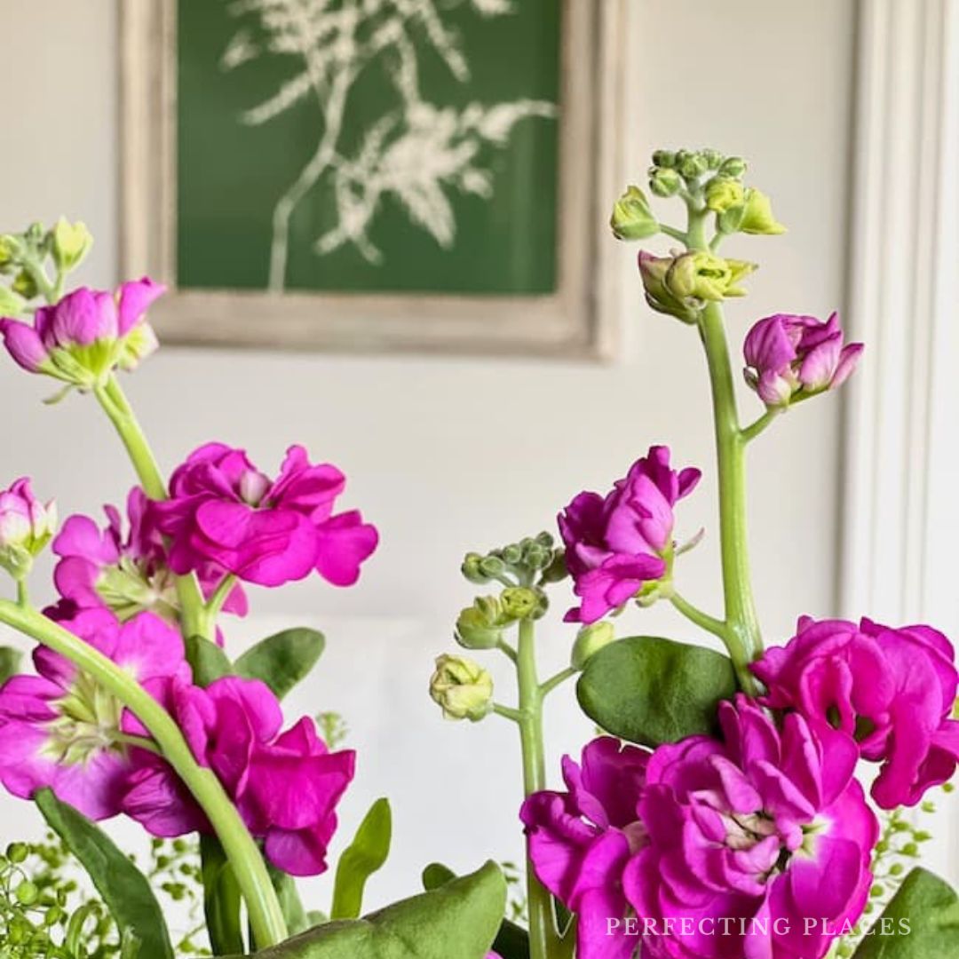 A close-up of vibrant magenta flowers in full bloom with green stems and buds. In the background, there's a framed artwork featuring a white fern on a green background. The flowers, showcased prominently in the foreground, capture the essence of Seven on Saturday, 7/27/24.