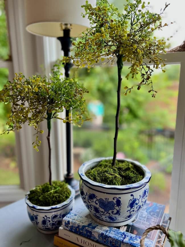 decorate with topiaries on the kitchen buffet