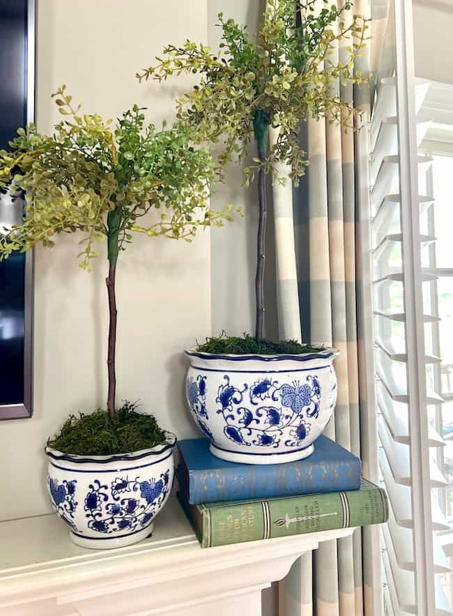 Pair of topiaries in blue and white pots on a mantel