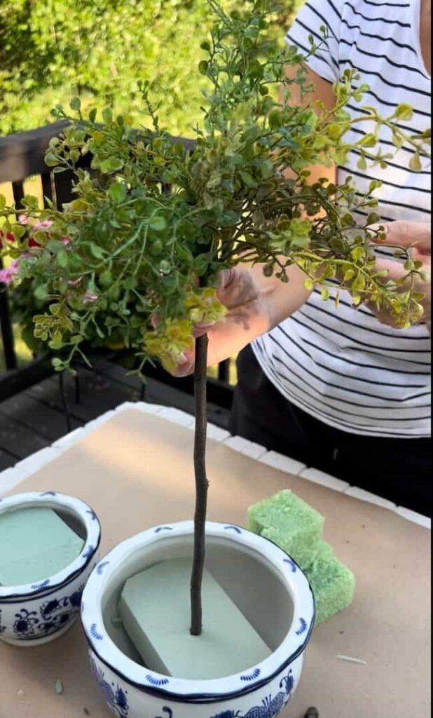 Fluff the greenery ball on the topiary