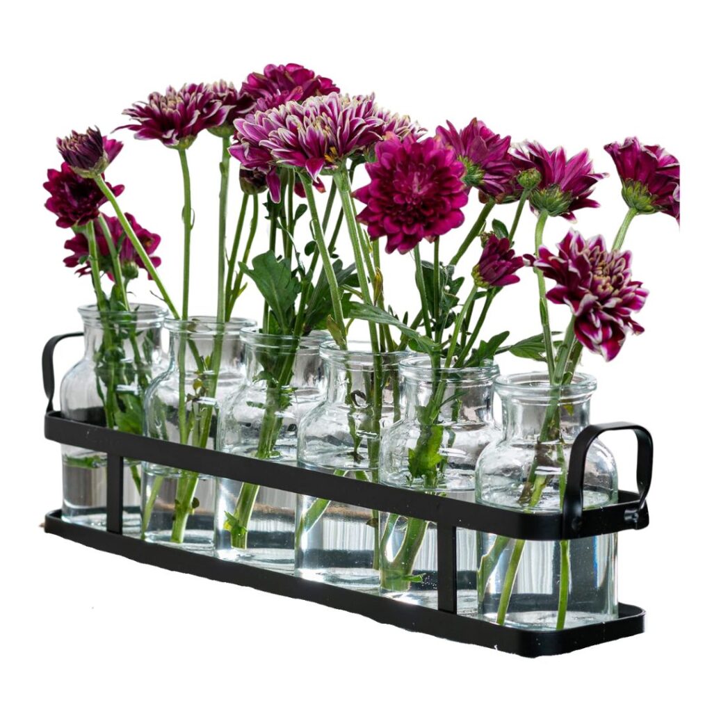 A row of purple flowers with white-tipped petals arranged in a set of small, clear glass vases held by a black metal frame. The vases contain water, and the flowers are fresh, standing tall. This arrangement is perfect to set a pretty summer table against the plain white background.