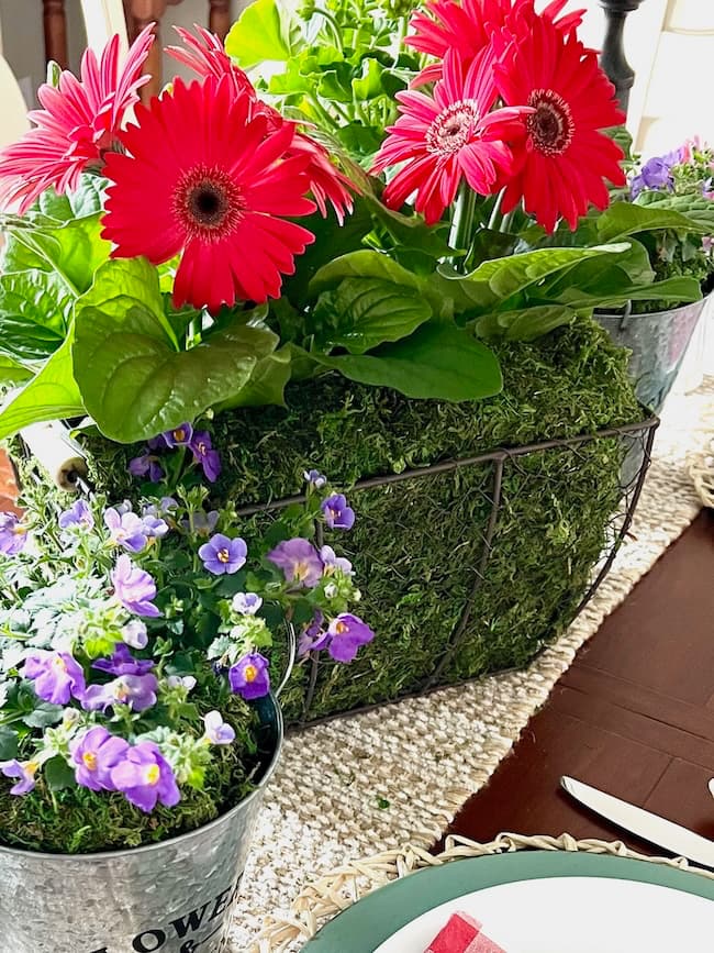 pink geraniums in wire basket