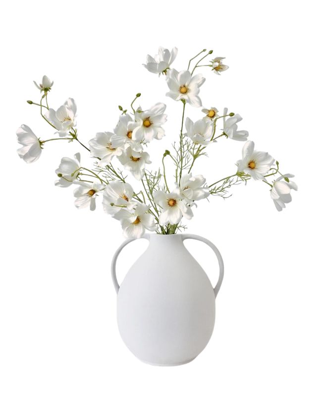 A minimalist white vase with two handles is filled with delicate white daisy-like flowers, each having a yellow center, artistically arranged against a plain white background. Incorporating end-of-summer decorating ideas with hydrangea-inspired colors, the display exudes serene elegance and a calming effect.