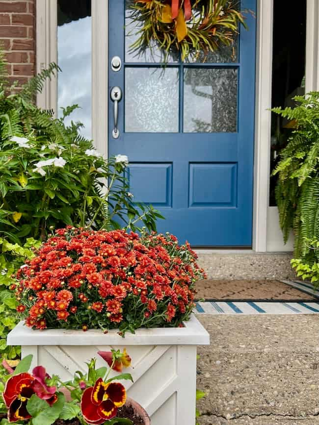 A blue front door with glass panels is adorned with an easy fall wreath DIY. A potted plant with red flowers sits on a white planter box in the foreground. Ferns and greenery surround the entrance, with a stone pathway leading up to the door.