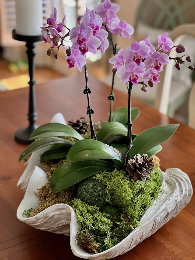 A decorative arrangement featuring pink orchids with lush green leaves, moss, and pinecones in a large, shell-shaped ceramic pot on a wooden table. In the background, there's a black candlestick and blurred chair.