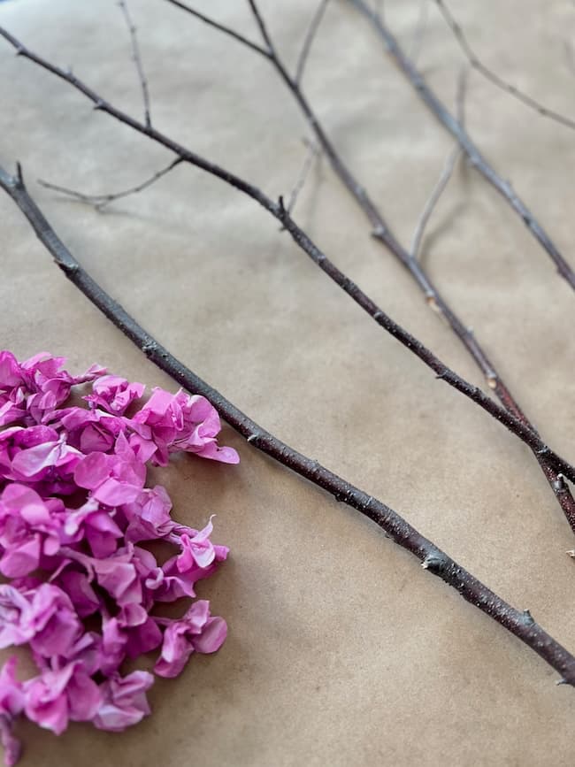 Delicate branches akin to tissue paper rest on a beige surface beside a cluster of vibrant pink bougainvillea flowers.