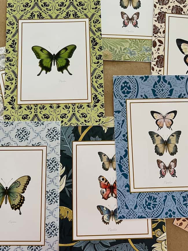 Discover an exquisite collection of framed butterfly illustrations with ornate borders in green, blue, and brown tones. Each frame features unique butterfly species on a crisp white background. Enhance your space with this free printable art for a touch of nature's elegance.