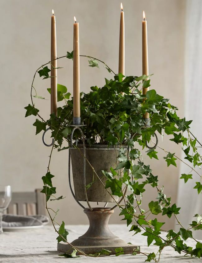 A rustic metal urn filled with lush green ivy and four tall beige taper candles stands on a table, their flames lit—one of our Top Picks for creating ambiance. The ivy vines gracefully wrap around the candlesticks.