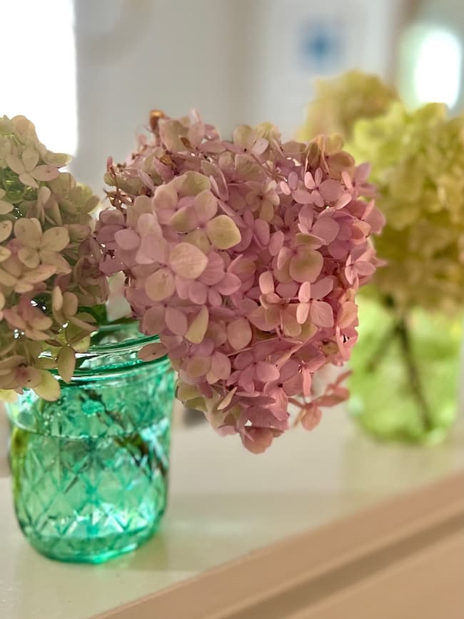 A close-up of pink hydrangea flowers in a textured green glass jar, with light green hydrangeas in the background, softly focused. The setting appears bright and airy.