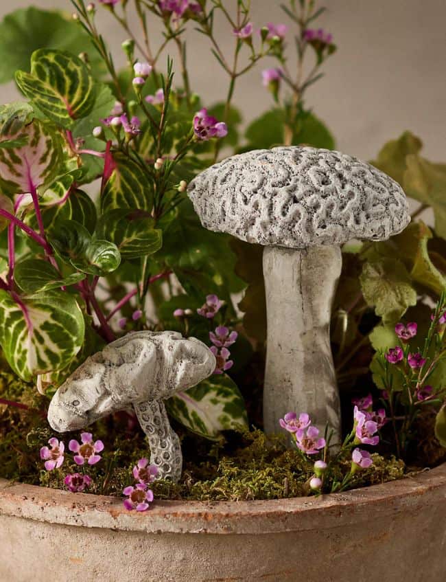 A potted arrangement with green leafy plants and small pink flowers, featuring two decorative, gray, textured mushrooms with intricate caps—perfect for upgrading your space. Shop this unique find in our Best Picks during the Labor Day Sale.