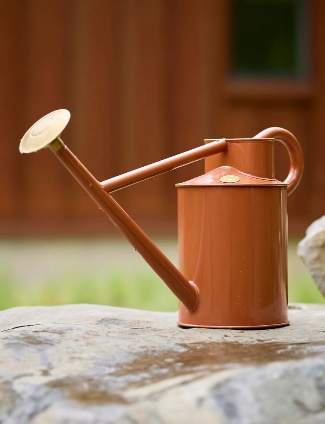 A rusty-orange metal watering can with a long spout and brass rose sits on a large rock, perfect for your garden and featured among our Top Picks in the Terrain Sale. A blurred wooden building and greenery add charm to the background.